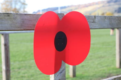 Close-up of red bell hanging on railing