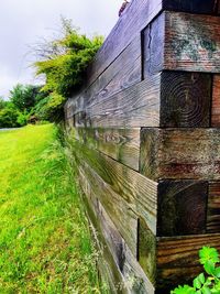 View of trees on grass