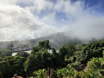 Scenic view of forest against sky