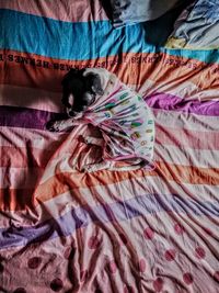 High angle view of dog wearing pet clothing on bed at home