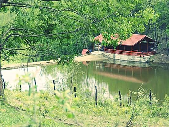 water, tree, reflection, lake, built structure, architecture, tranquility, building exterior, growth, nature, grass, plant, tranquil scene, green color, beauty in nature, pond, branch, scenics, house, river