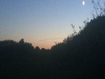 Silhouette trees against clear sky at sunset