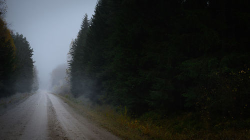 Empty road amidst trees against sky