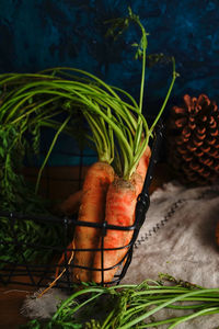 Close-up of fresh vegetables