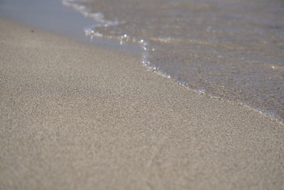 Scenic view of beach