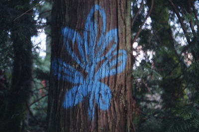 Low angle view of tree trunk