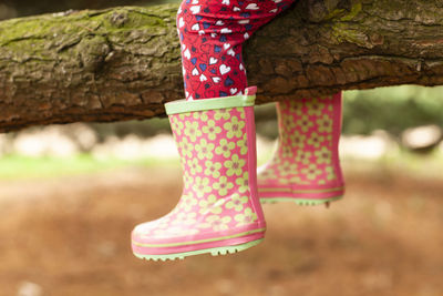 Low section of woman standing on tree trunk