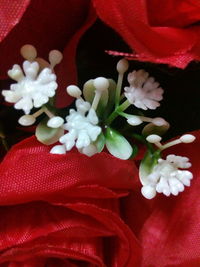 Close-up of flower bouquet