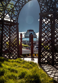 View of park with buildings in background