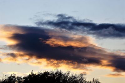 Low angle view of silhouette trees against sky during sunset
