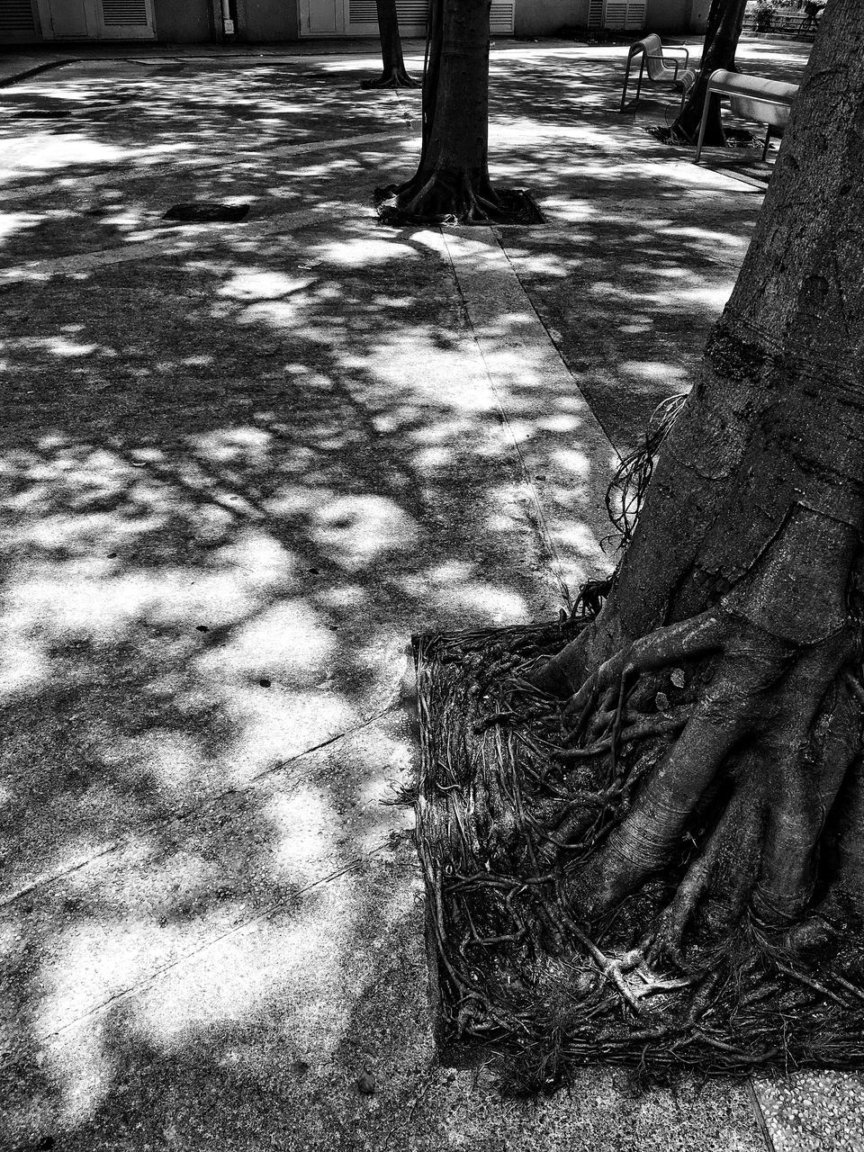 HIGH ANGLE VIEW OF SHADOW ON STREET