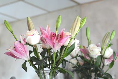 Close-up of pink flowering plant