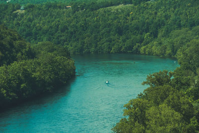 High angle view of trees by sea