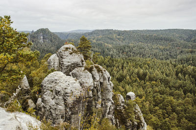 Panoramic view of trees and mountains against sky