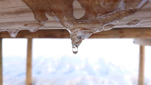 Close-up of icicles on roof