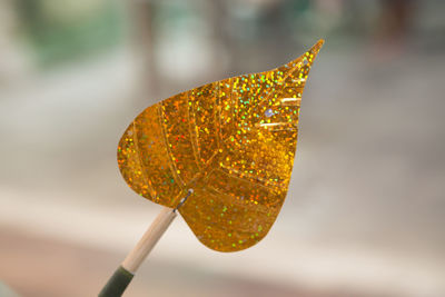 Close-up of dried leaf on yellow leaves