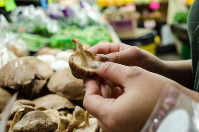 Cropped hands holding mushroom at market