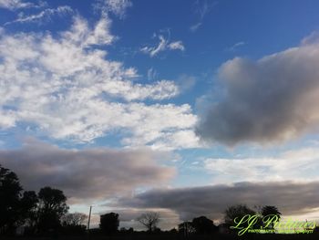 Low angle view of silhouette trees against blue sky