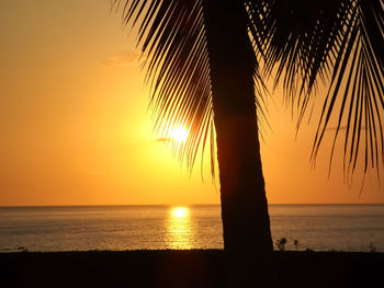 Silhouette palm tree by sea against sky during sunset