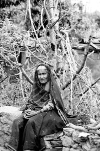 Portrait of young woman sitting on tree