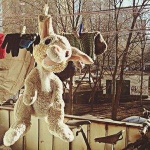 Close-up of building