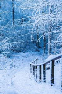 Scenic view of snow covered landscape