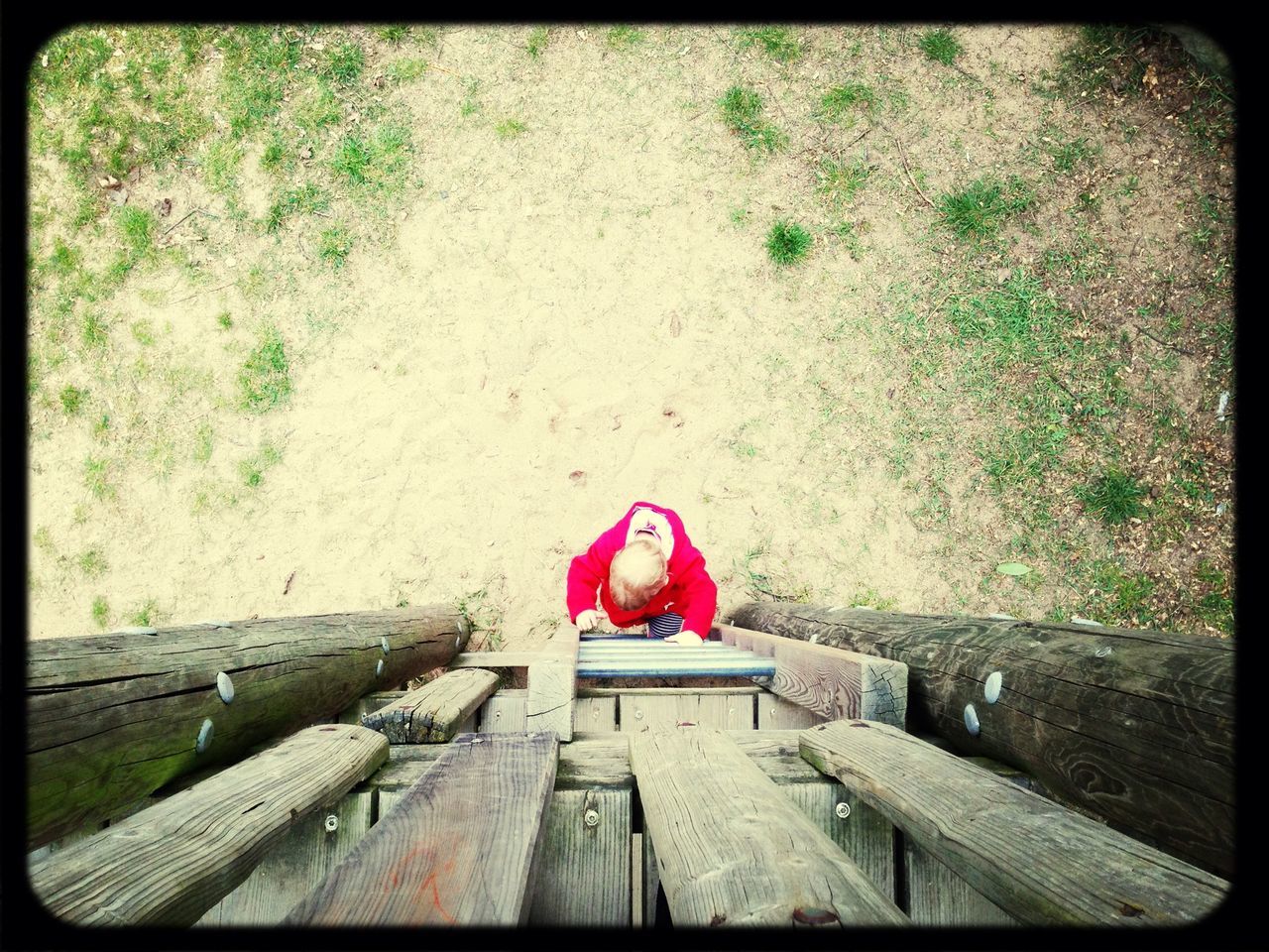 transfer print, auto post production filter, high angle view, plant, lifestyles, standing, wood - material, steps, day, outdoors, full length, leisure activity, red, growth, casual clothing, grass, sunlight, nature