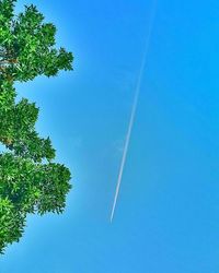 Low angle view of trees against clear blue sky