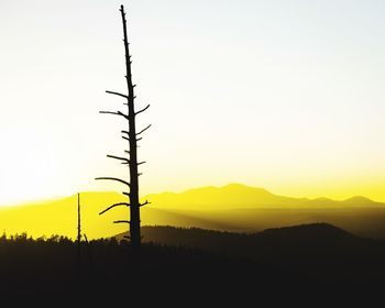 Silhouette tree on landscape against sky at sunset