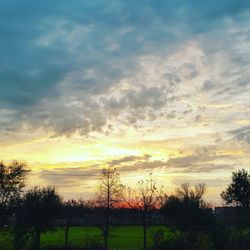 Silhouette trees on landscape against sky at sunset