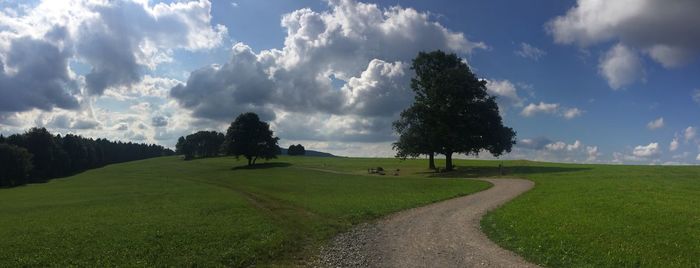 Panoramic view of trees on field against sky