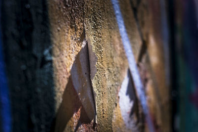 Close-up of rusty metal