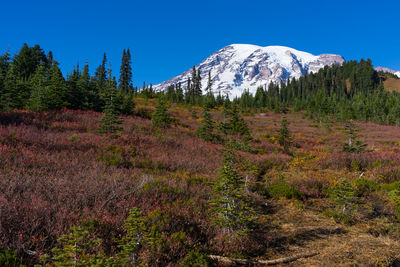 Scenic view of mountains against blue sky