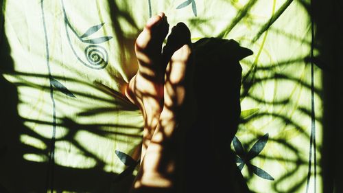 Close-up of woman hand