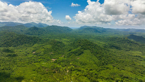 Mountains with rainforest and jungle in the mountainous province. balabac, palawan. philippines.