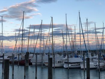 Sailboats moored in harbor at sunset