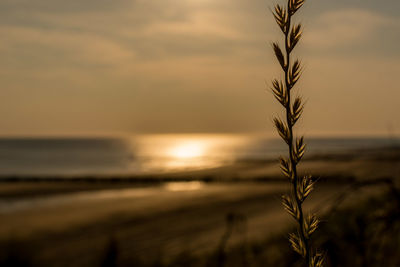 Scenic view of sea against sky at sunset