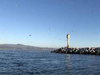 Seagull flying over sea against blue sky