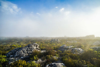 Scenic view of landscape against sky