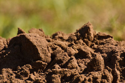 Damp fertile sandy soil dirt heap