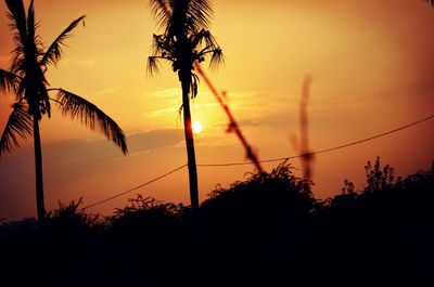 Silhouette palm trees against sky during sunset