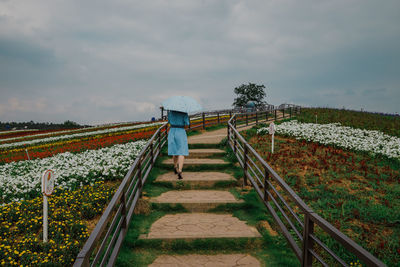Rear view of person on flower field against sky