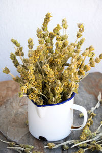 Close-up of white flower pot on table