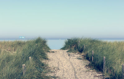 Scenic view of beach against clear sky