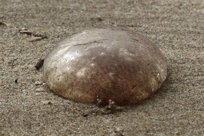 High angle view of sand on beach