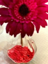 Close-up of pink flower on table