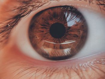 Extreme close-up of human eye