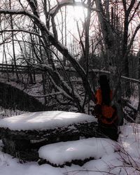 View of bare trees in snow