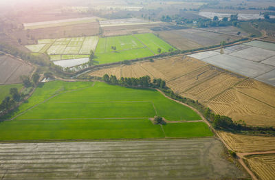 Aerial view of agricultural field