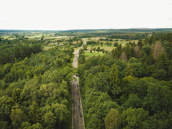 High angle view of trees in forest against sky